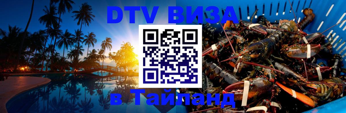 Оформление DTV визы под ключ: стоимость и тарифы, только загранпаспорт - 